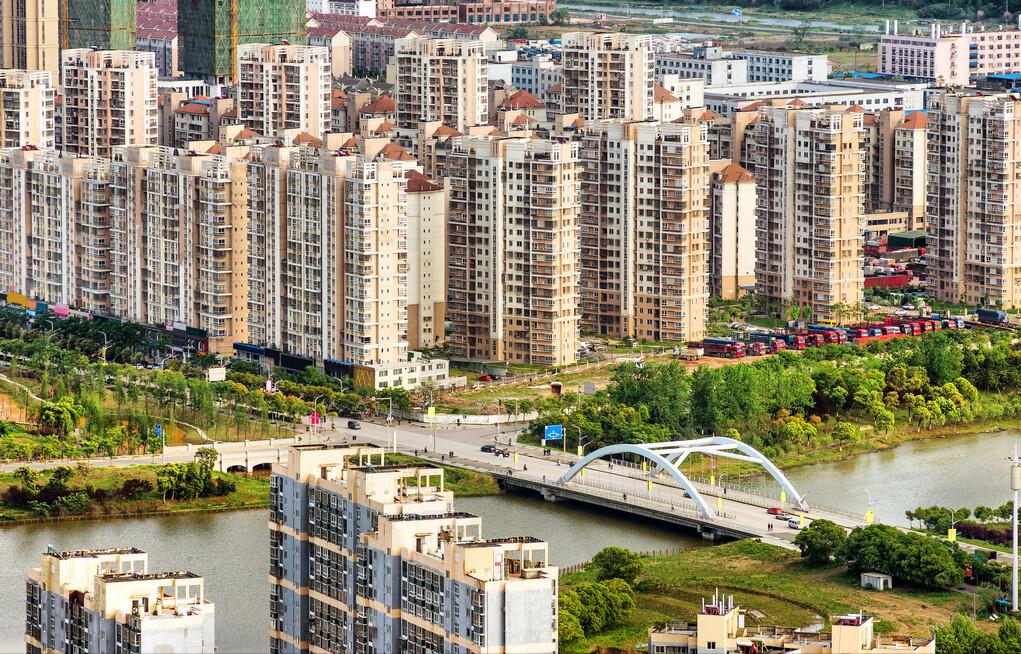 90后小伙养殖青蛙,农村创业致富养蛙