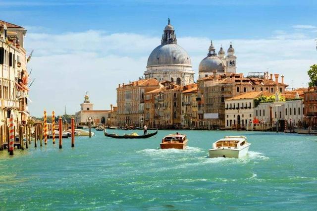 当没有了游客：威尼斯河水变清澈，武汉大学“网红”狐狸下山觅食