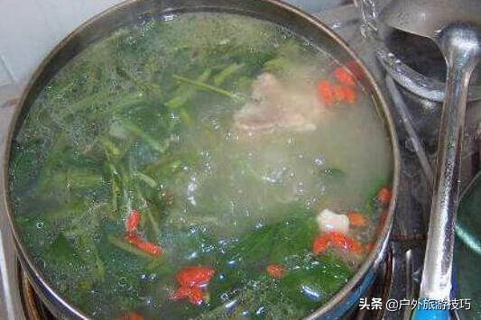 农村里常见的车前草有什么功效,这才是车前草正确用途