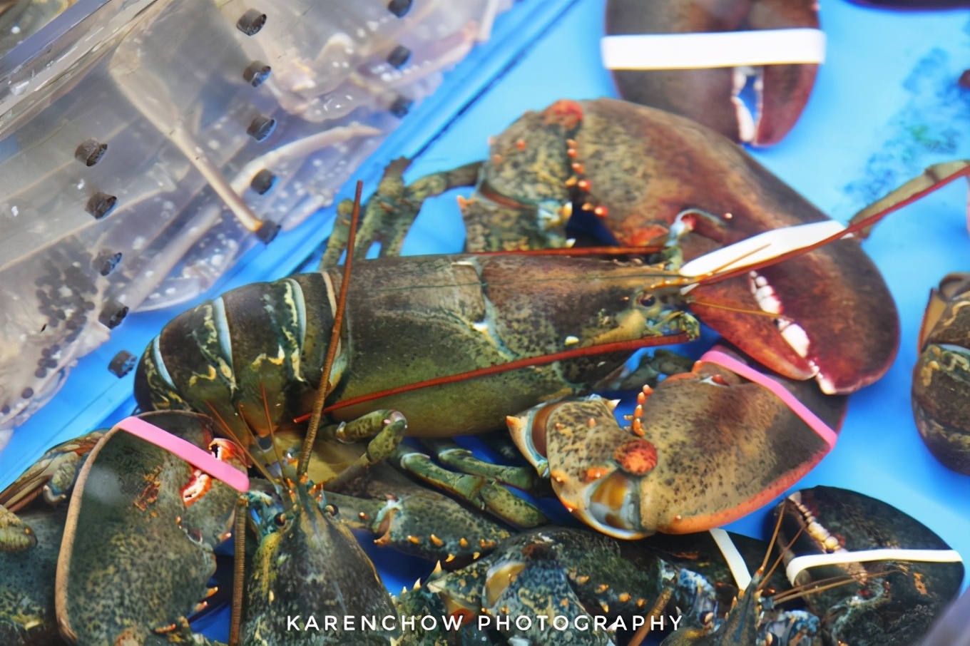 閲滃北濂界帺涓庡ソ鍚冪殑鍦版柟,閲滃北鏃呮父缇庨