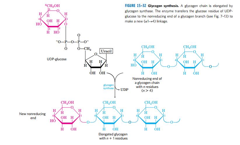 人体特异功能怎样开发呢,人体特异功能科学解释