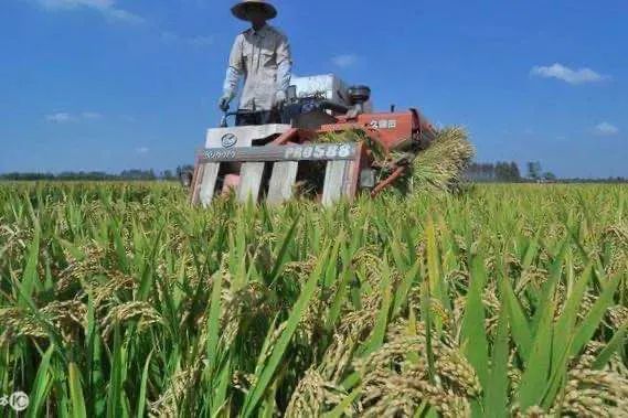 用大牌的护肤品真的好用吗,用大牌的护肤品