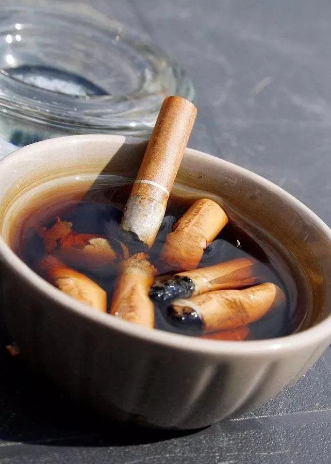 花盆里的小黑飞杀虫小妙招,花盆里小黑虫怎么消灭最彻底