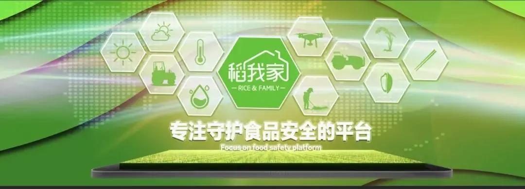 “首创溯源食材店”，做没有竞争对手的生意