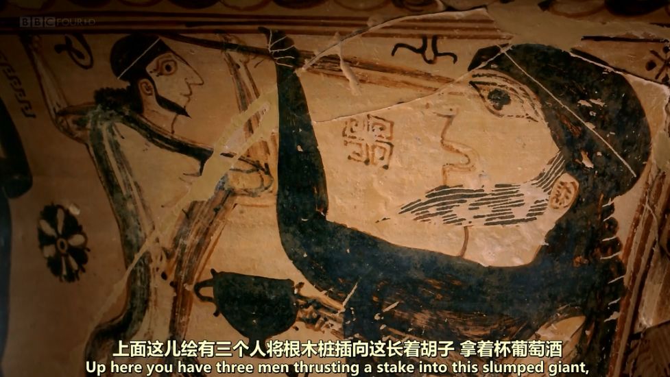 必看的6部高分艺术纪录片,6部高品质自然类纪录片推荐