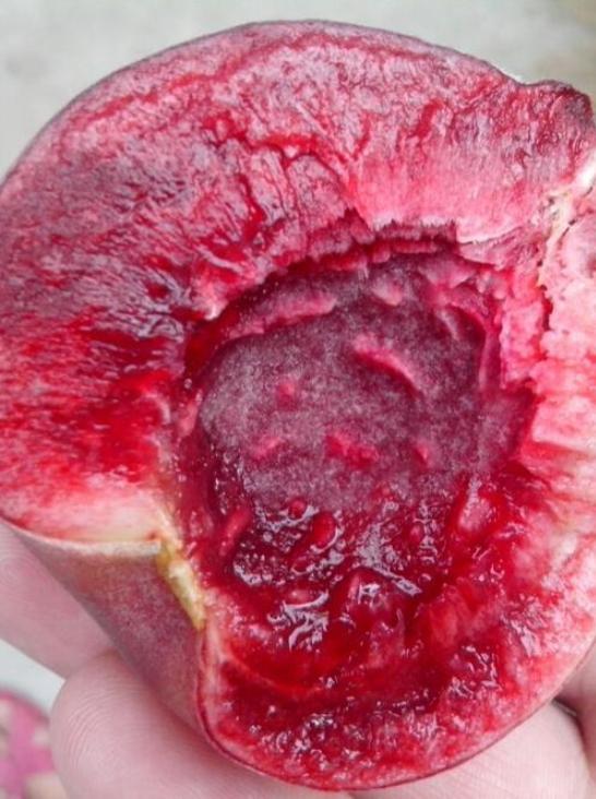 含铁高的水果蔬菜排行榜,什么水果含铁多补血效果好