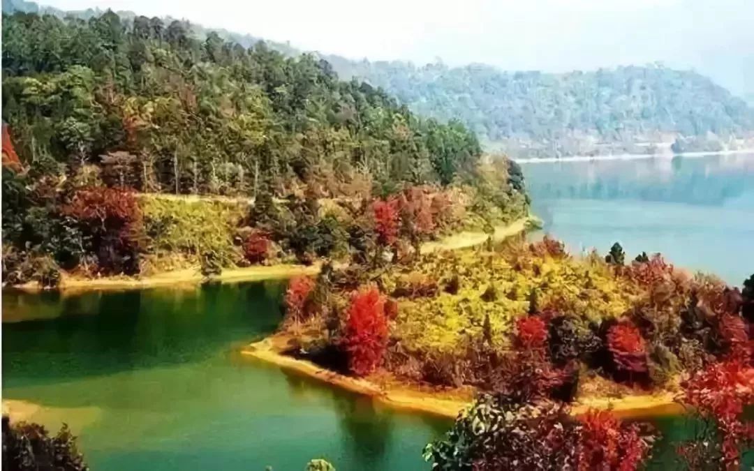 东莞周边11月份赏红叶好去处,东莞观音山看红叶攻略