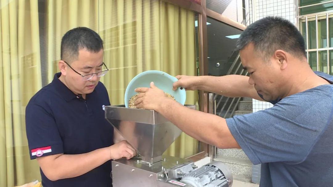 东源新城美食街,东源县美食嘉年华