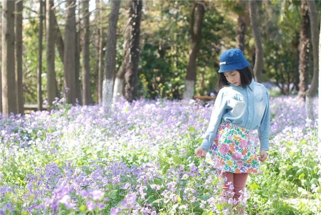 最值得去的免费旅游的景区,5.19中国旅游日免费门票景区