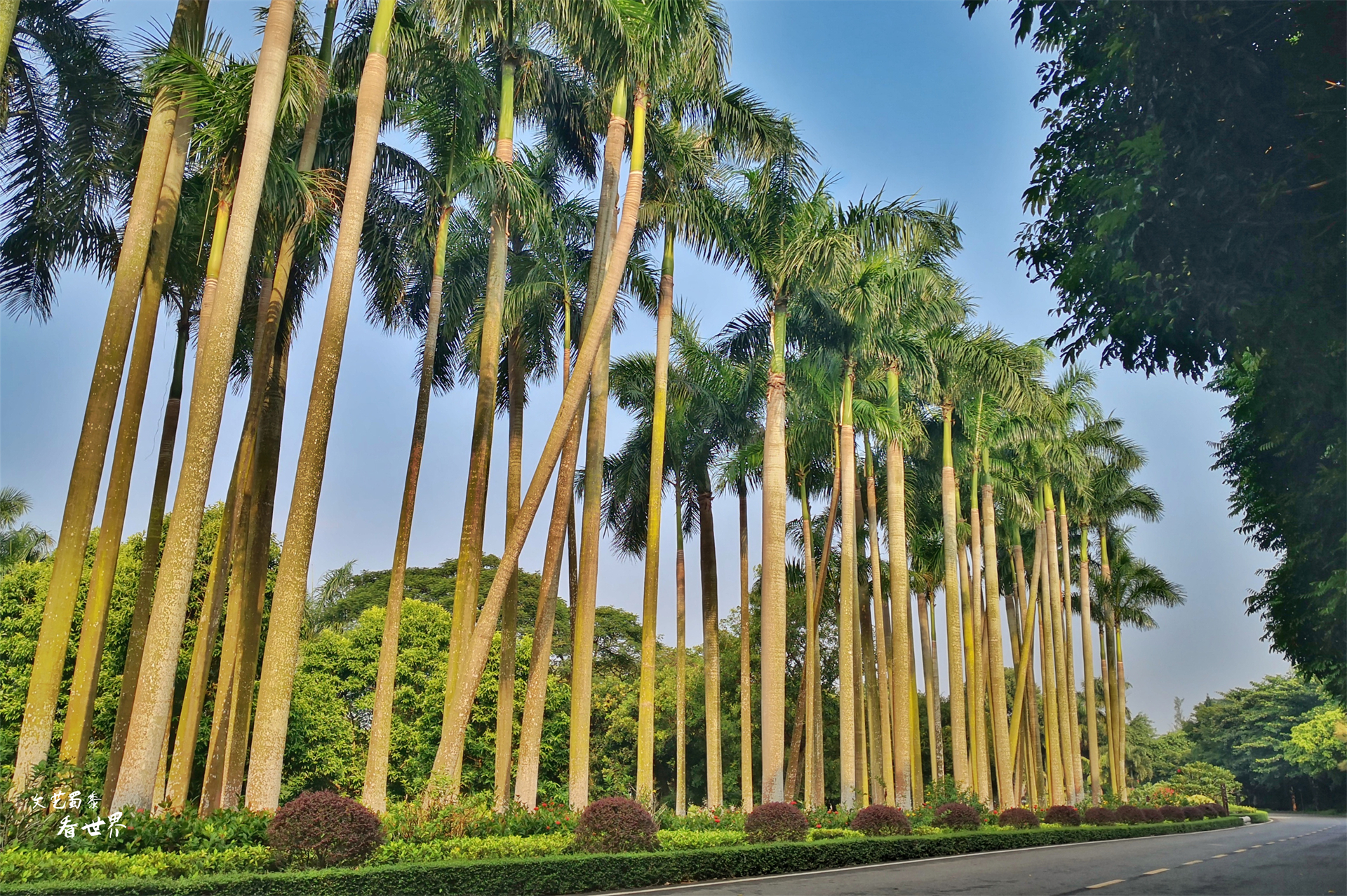 北方人去三亚过冬好吗,北方人养老适合去哪里