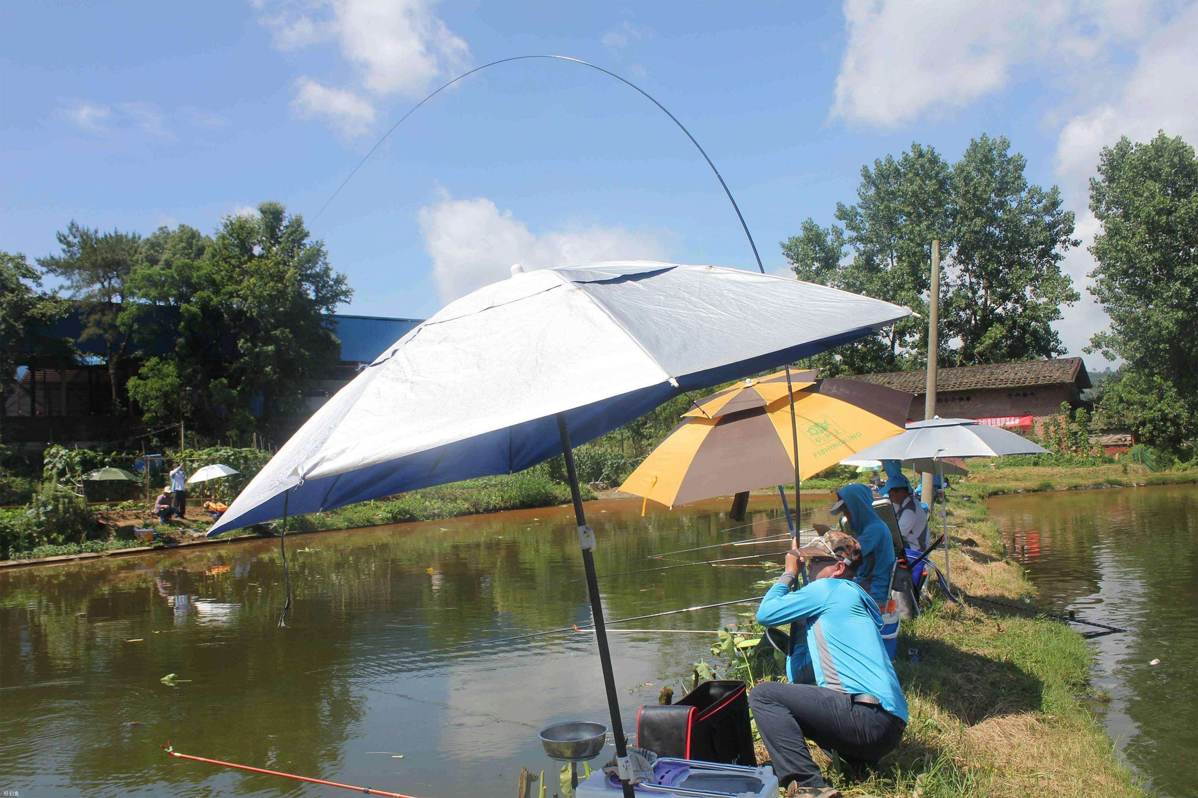 打窝用碎米打窝好还是大米打窝好,钓鱼打窝的正确方法和技巧