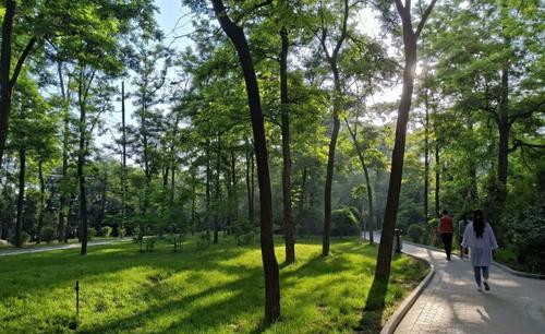 防暑指南等你来查收,大暑温馨提示你注意防暑降温