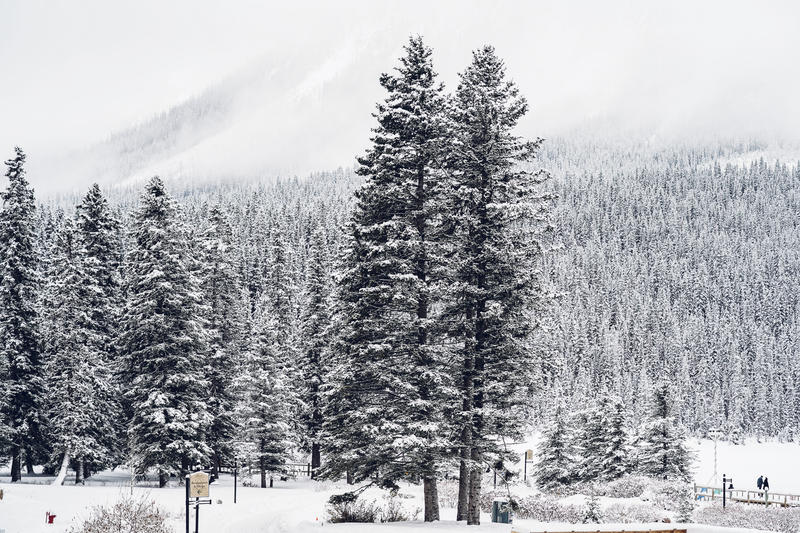 加拿大魁北克冰雪节,加拿大艾伯塔省节