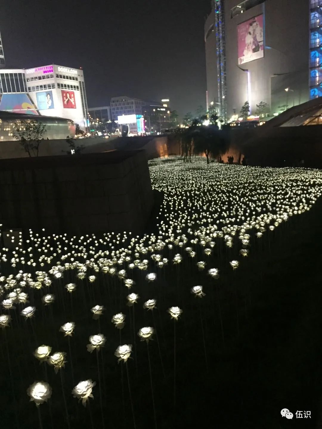 我的闺蜜是代购——暴走时代