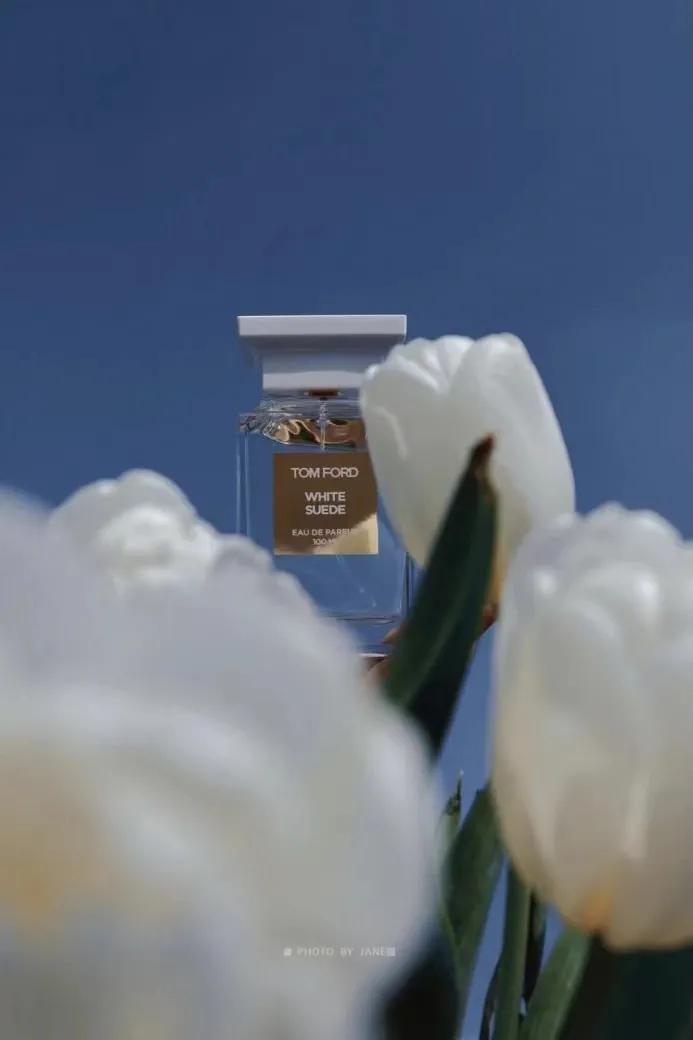 春日对对碰魅力香水,春日气息香水推荐