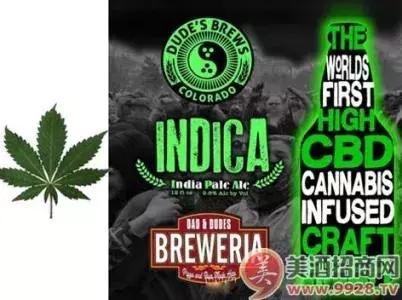 工业*麻大**：从北美火到中国，23个值得关注的行业机会