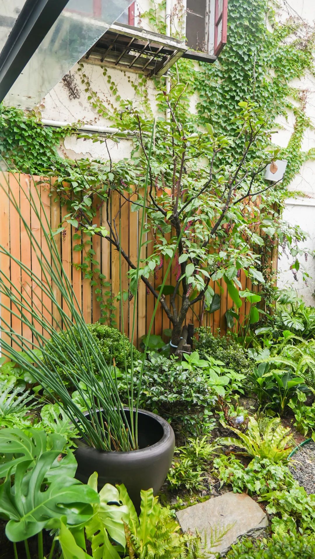 住在上海闹市400平的房子里，花开不败，开窗见池塘，太羡慕了