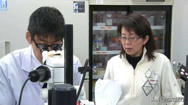 日本的抗癌和防癌体系居全球Top1，有哪些闪光点值得我们借鉴？