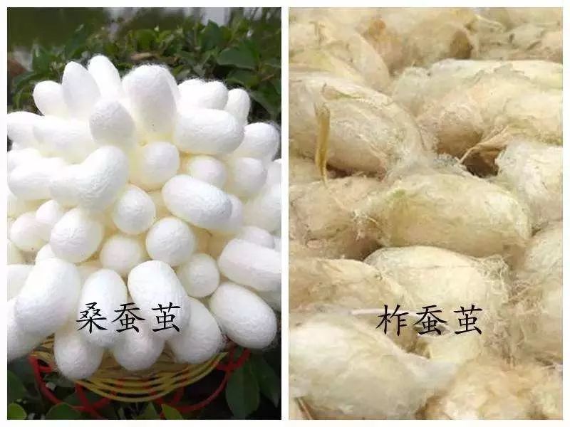 各种被芯,被芯哪种材质比较好