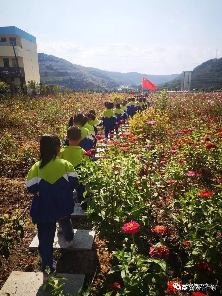 金太阳幼儿园校门,延安市甘泉谢金庄幼儿园