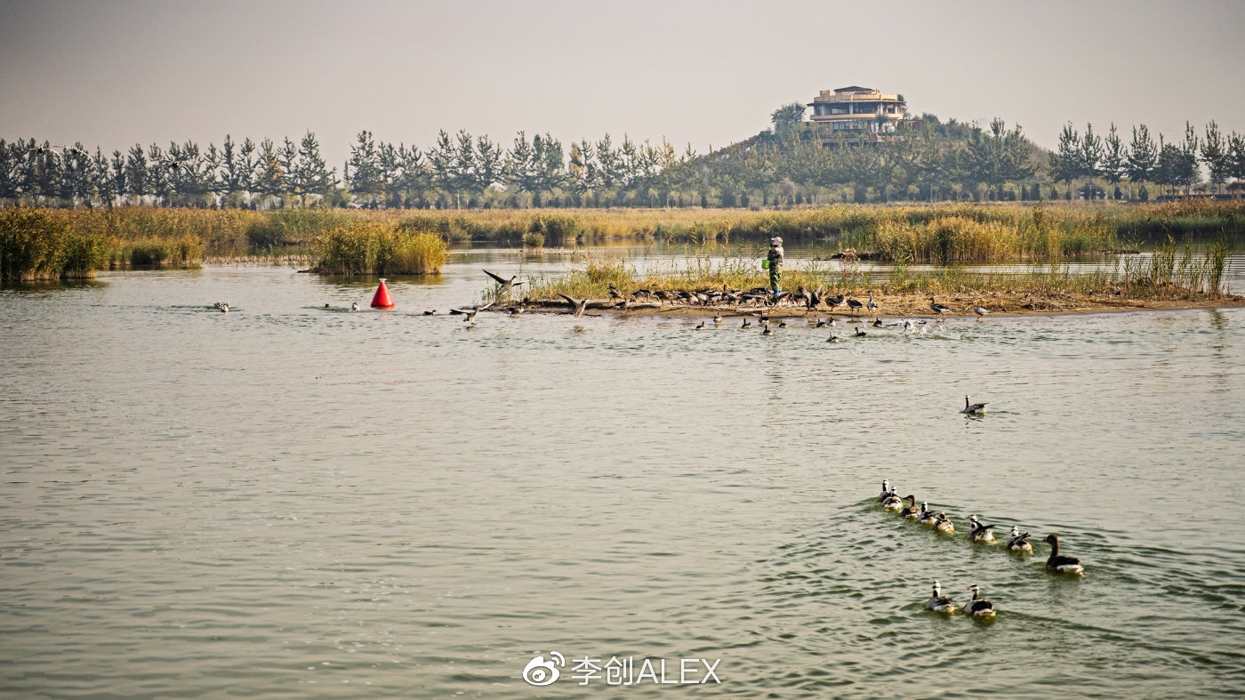 来宁夏玩的攻略,从宁夏去内蒙怎么玩