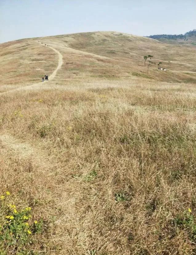 想不通就去爬山看海吧,呼伦贝尔大草原自驾游攻略