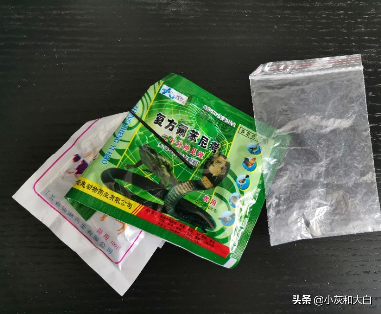 小鸟病得很严重怎么办,小鸟生病了该怎么照顾
