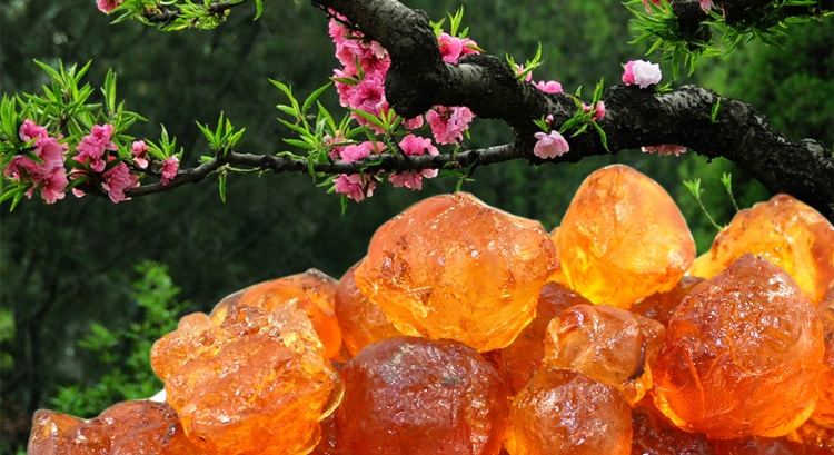 秋冬滋补养生汤有哪些药材,冬春滋补膏的作用与功效