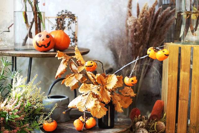 杨澜专访张艾嘉,杨澜采访张艾嘉