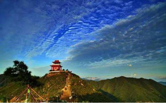 揭秘当销冠变成习惯，龙湖·九里晴川为何如此抢手