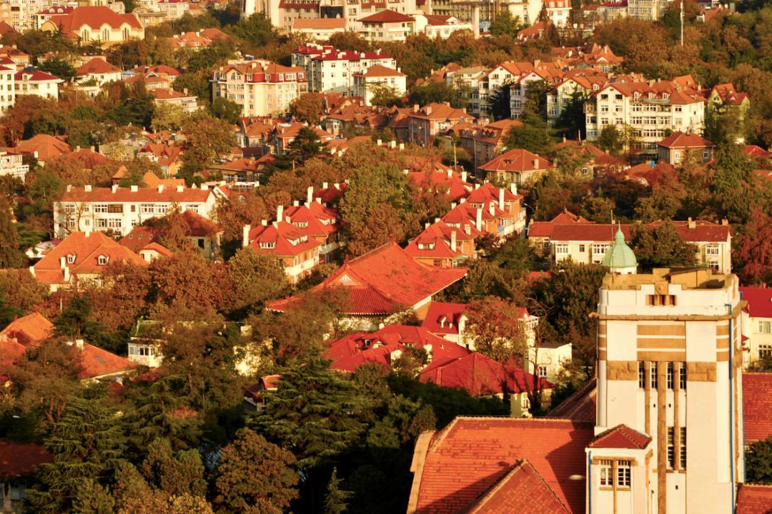 海滨老城泡桐花 (海滨老城紫色泡桐花)