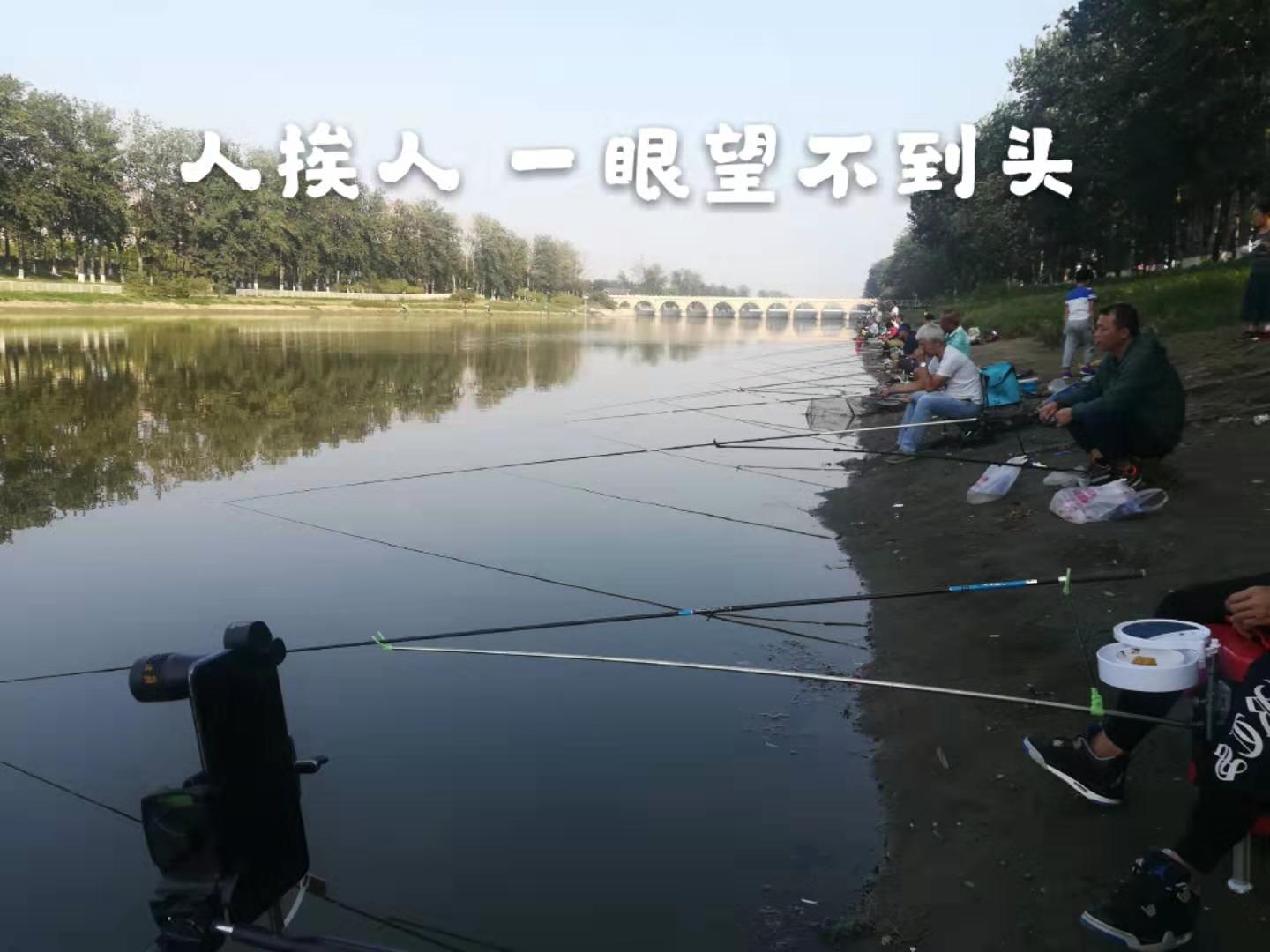 北京钓鱼野钓好地方大石河,北京哪的河野钓最佳