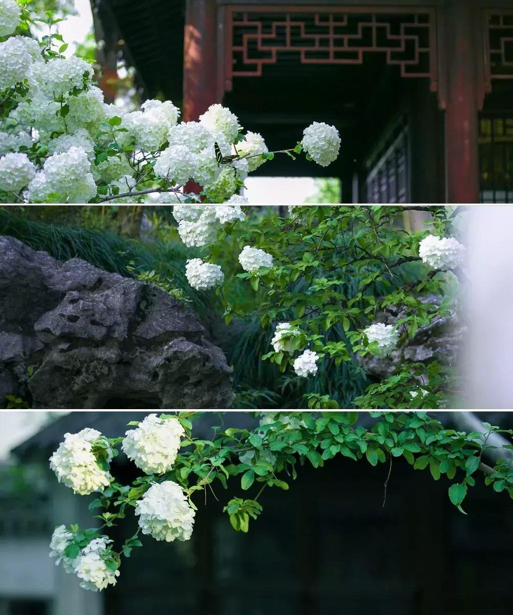 古典意象现代诗,意境深远的现代诗