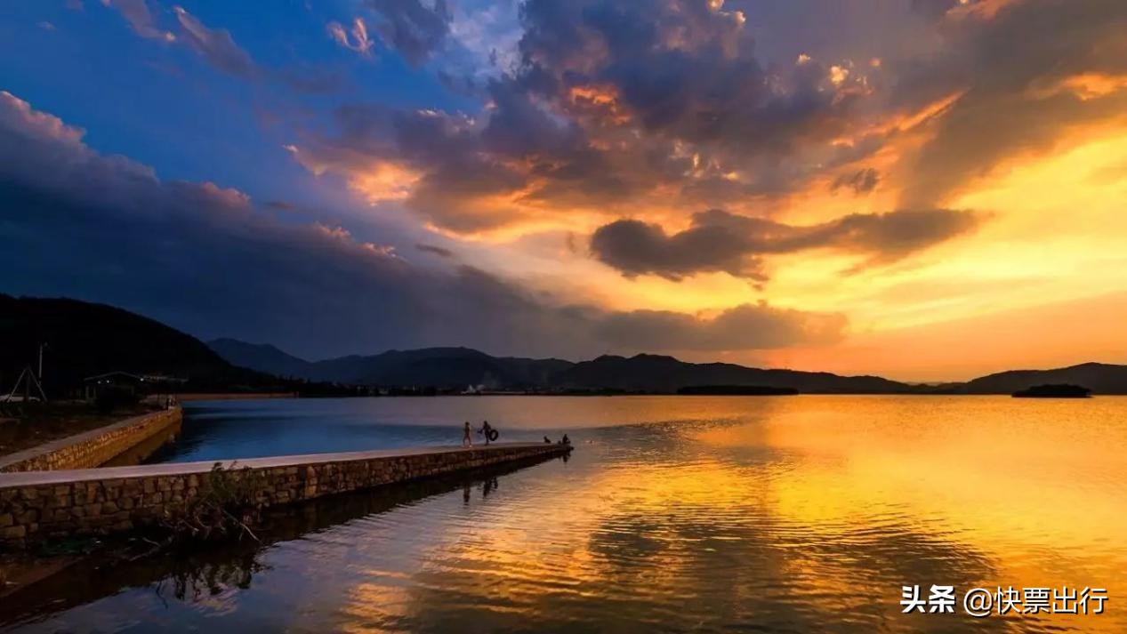 隐藏在1.2亿立方米的网红，天空视角水杉木，美酥了