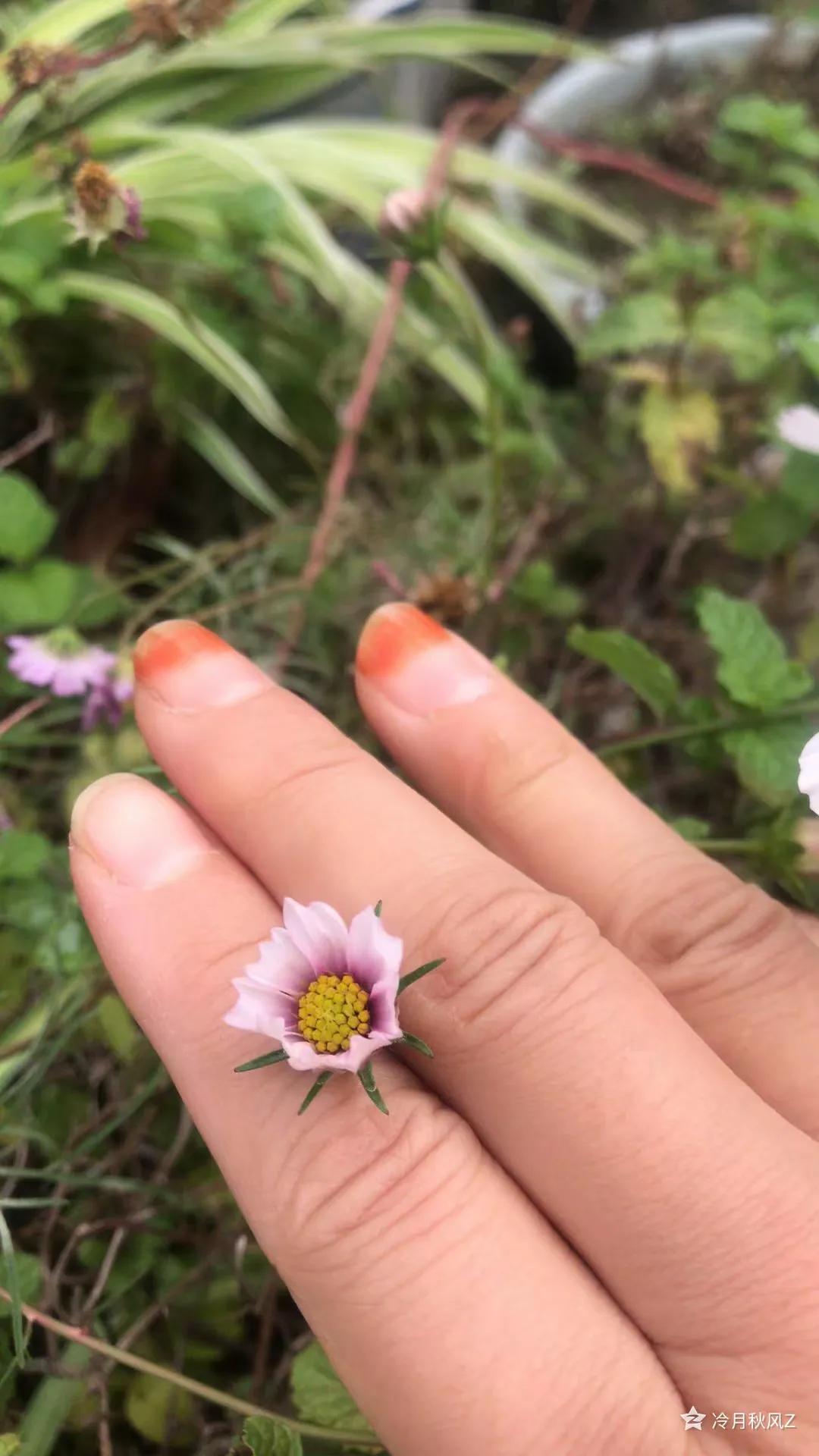 最美的戒指背景图,最美的戒指