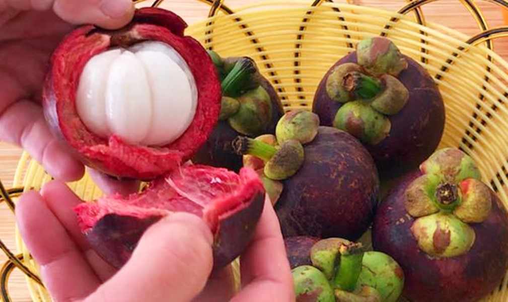 山竹里面是黄的能吃吗,山竹里面流黄浆还能吃吗