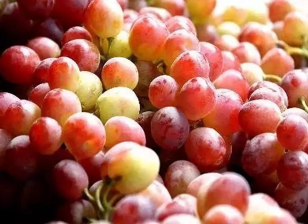 全新疆著名的特产,盘点十大新疆的特产