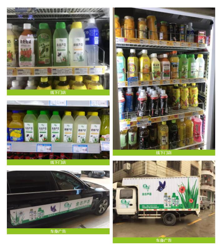 跨越20年的芦荟情谊