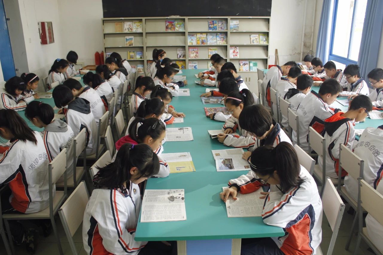 名校力量|原来你是这样优秀的科利华