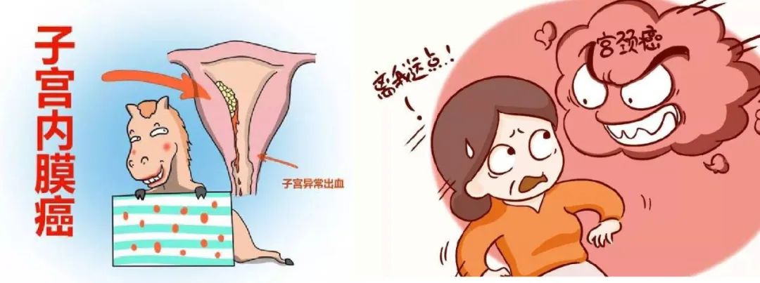 大姨妈知识科普,大姨妈知道的知识