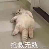 没头发有钱,没时间的同时还没钱