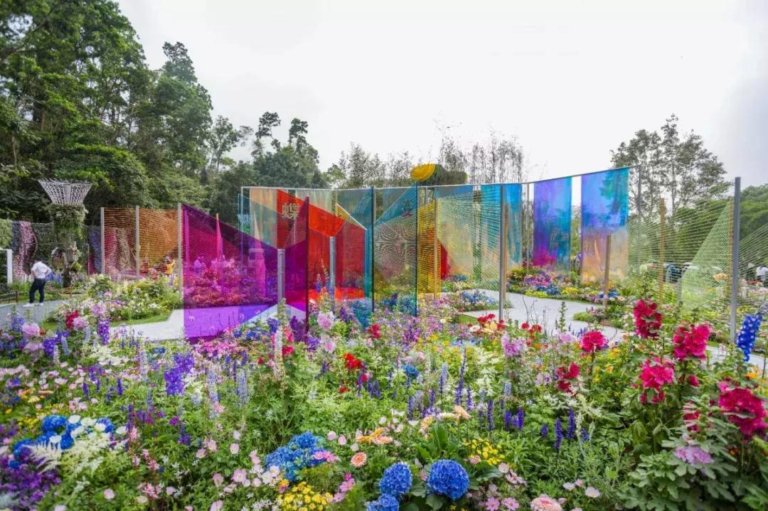 未来10天预警,深圳最最最最火的地方在这里,美女都赶来打卡