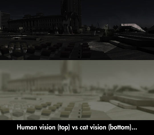 复杂的眼睛是反对进化论的证据？其实它恰好反映了进化的粗糙