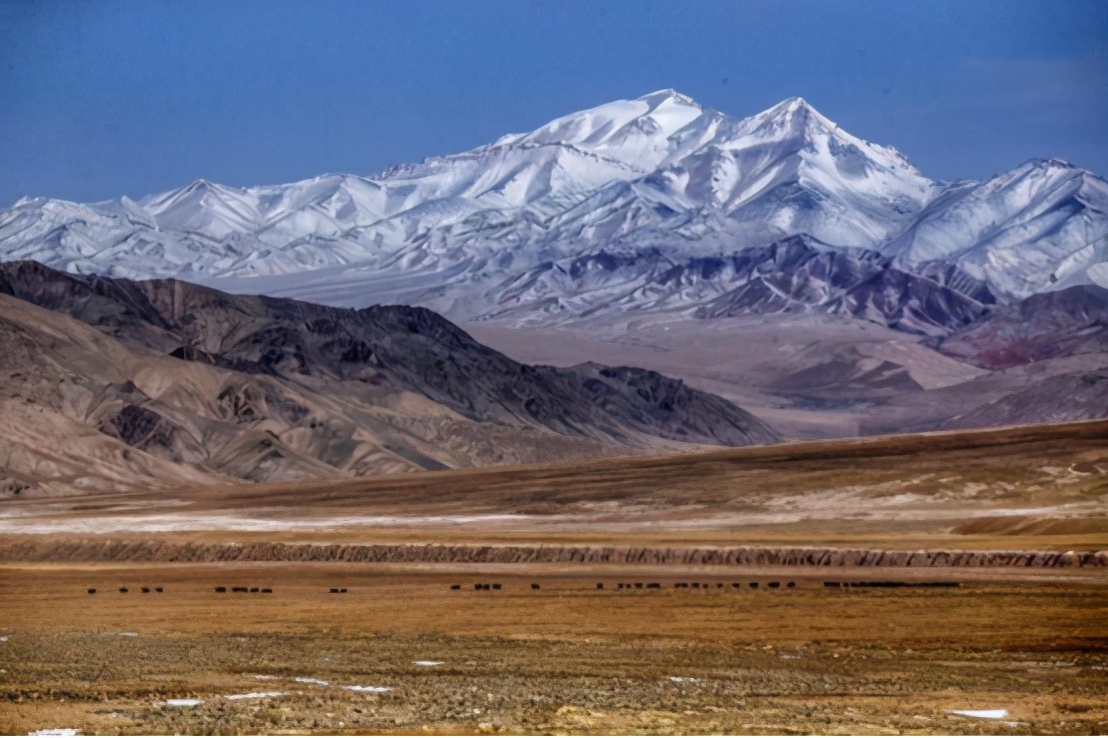 净土天峻,净土天峻高原牧场图片