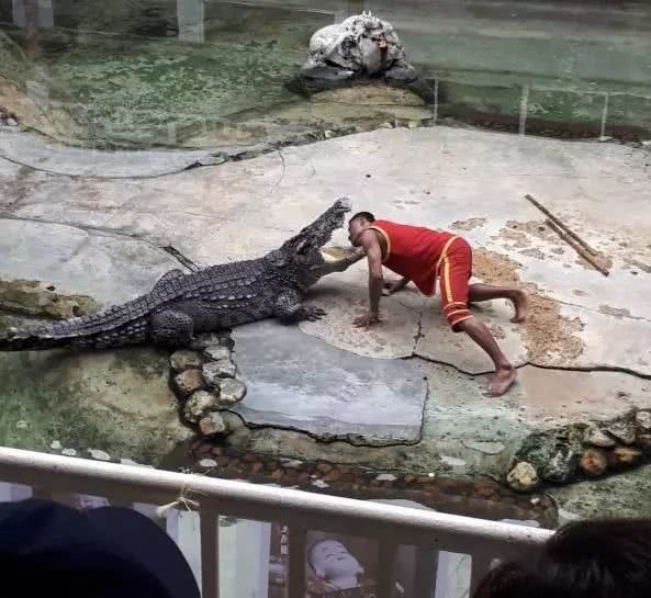 爱上旅游国际旅行社,2024年旅游团泰国七日游价格