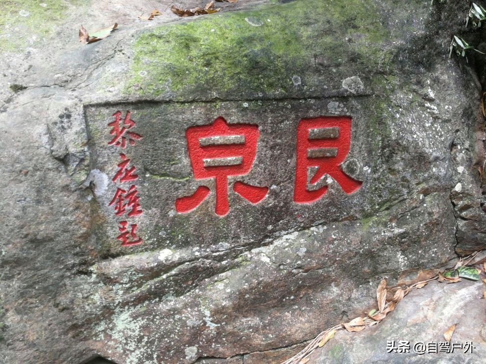 惠州明月山庄露营,罗浮山休闲竹林露营地