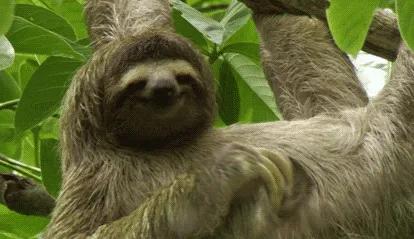 床单10天不洗究竟有多脏?多久洗一次最好?看完再也不敢懒了