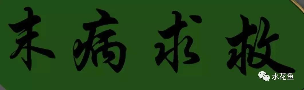 越冬综合症鱼病要多久能治好,鱼瘟病是怎么回事