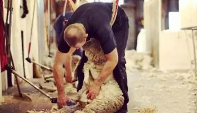 ugg男可以穿吗,ugg男的能穿吗