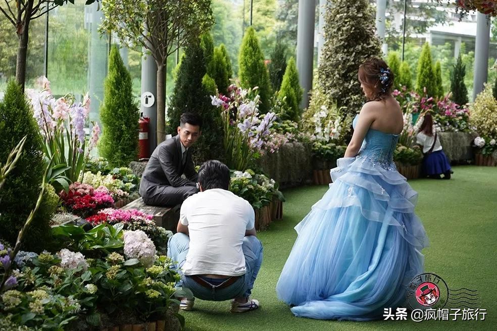 新加坡旅游住酒店攻略,去新加坡旅游住宿怎么选择